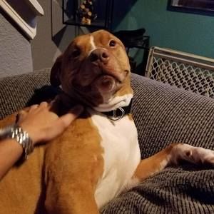 Meet your Posher, Eli